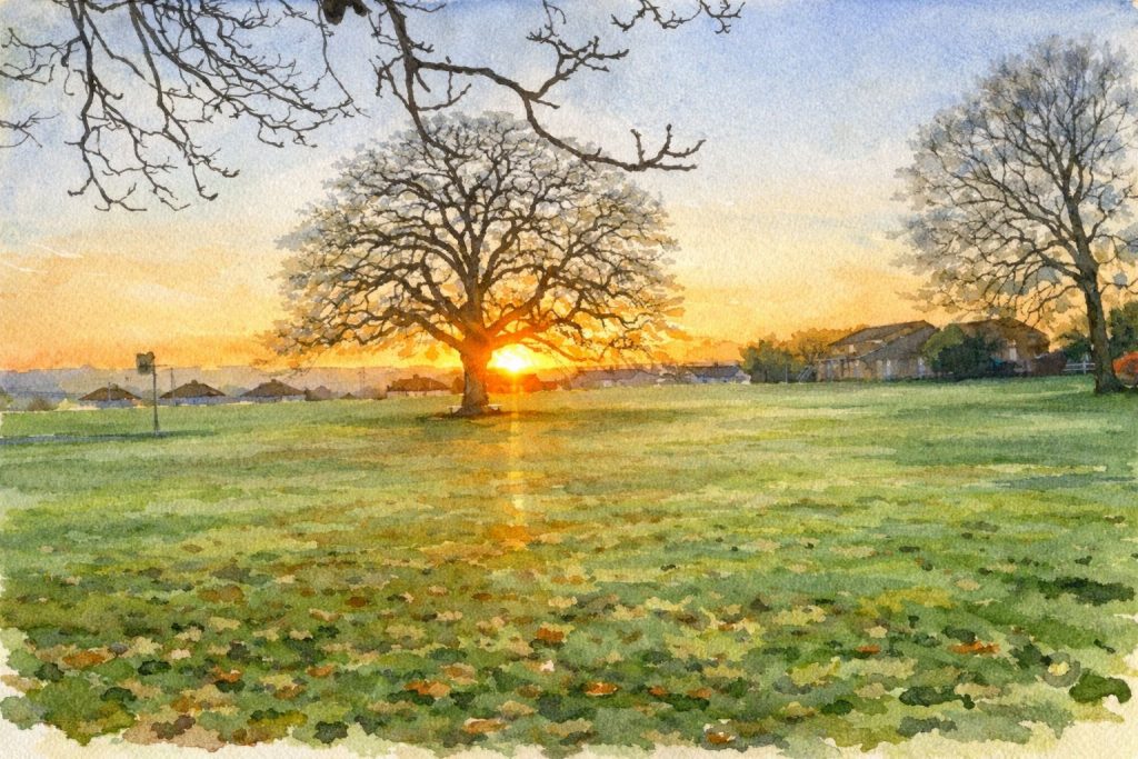 Artistic Sun behind the Oaktree